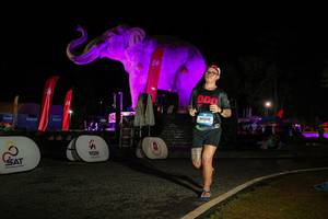 BIB: 
                            <button type="button" onclick="openModal(26534208)" class="btn btn-primary btn-sm float-right btn-popup" data-toggle="modal" data-target=".modal-high-quality">
                        <i class="fas fa-shopping-cart"></i> Add to Cart
                    </button>
                                            <button type="button" onclick="isThisMe(26534208, true)" class="btn btn-success btn-sm float-right btn-popup btn-isme hidden" data-toggle="tooltip" data-placement="bottom" title="นี่คือรูปของคุณใช่ไหม คลิกที่นี่เพื่อเอาเข้าอัลบั้ม">
                        <i class="fas fa-plus"></i> Add to album
                    </button>
                    <button type="button" onclick="isThisMe(26534208, false)" class="btn btn-warning btn-sm float-right btn-popup btn-isnotme hidden">
                        <i class="fas fa-ban"></i> Remove from album
                    </button>